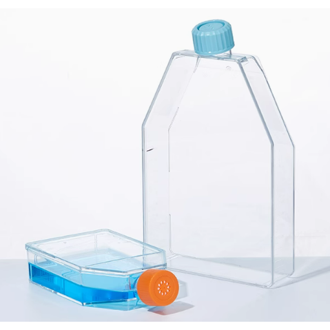 TC-Treated 貼壁細胞培養瓶(斜角透氣蓋)T75