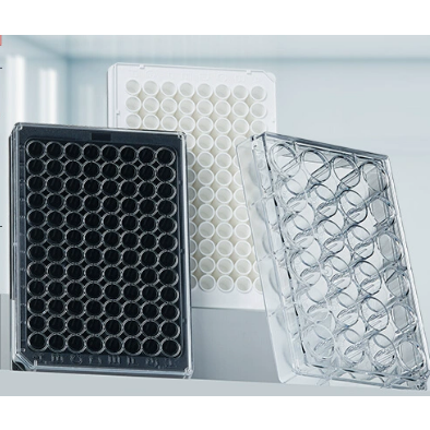 TC treated 貼壁細胞培養盤 (紙背吸塑包裝)