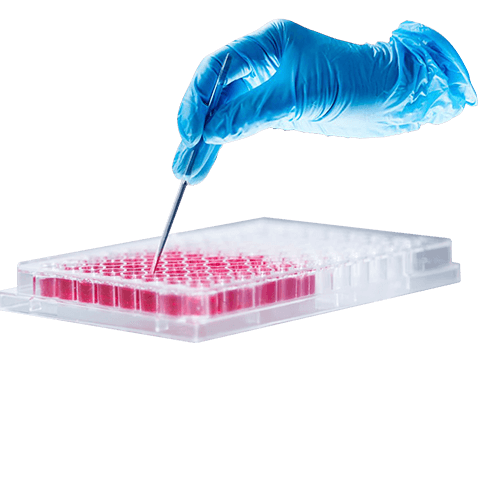 Chromatographic detection