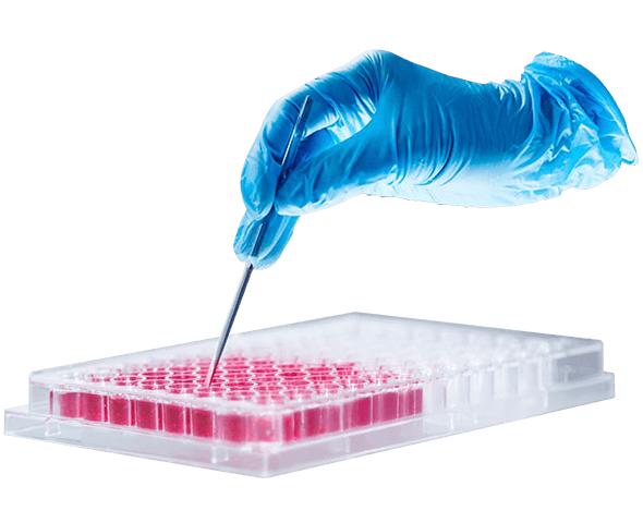 Chromatographic detection