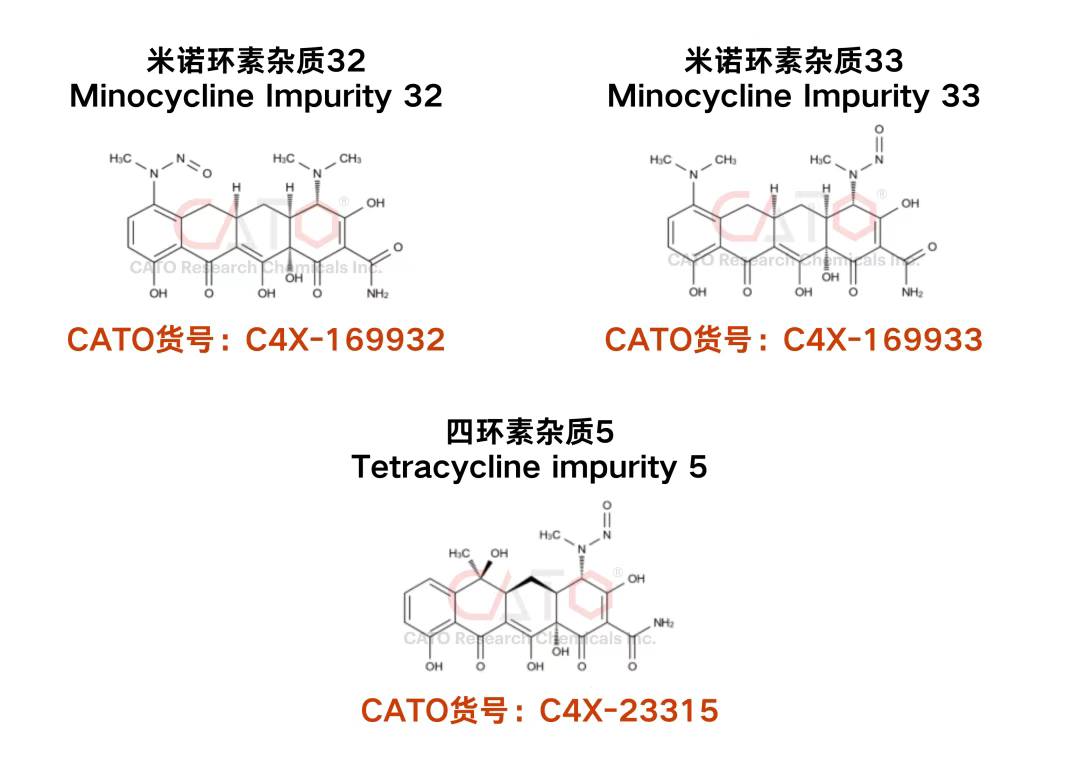 559741350_1253557513239795_7809023669748987092_n