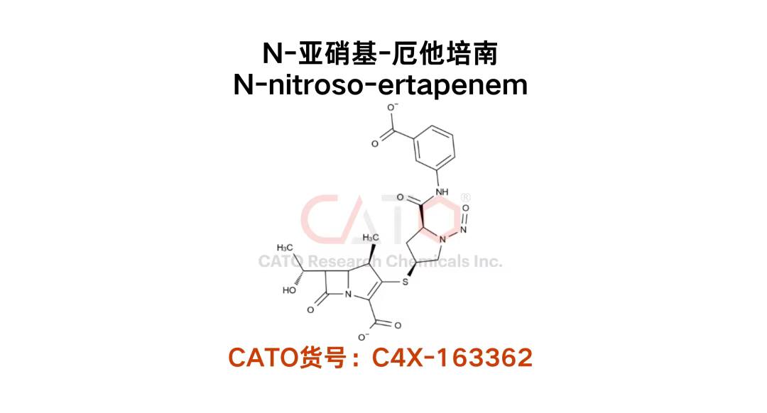 560235556_1253557596573120_7772462675261807013_n