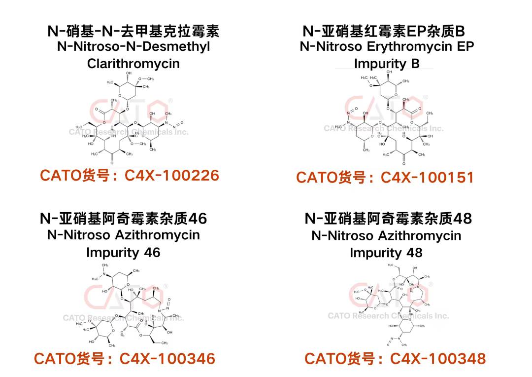 565647394_1253557643239782_2523355203644566654_n