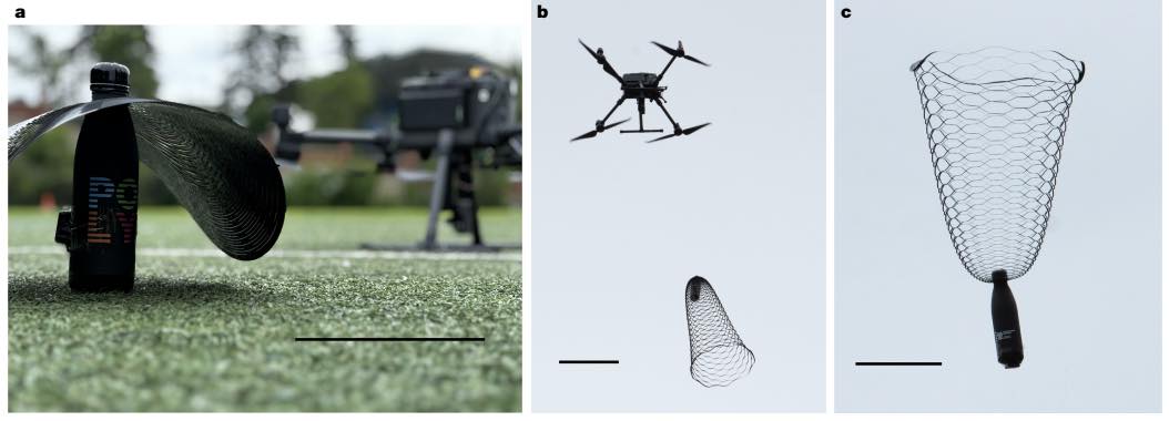 568529767_1257367026192177_1659366750244872498_n