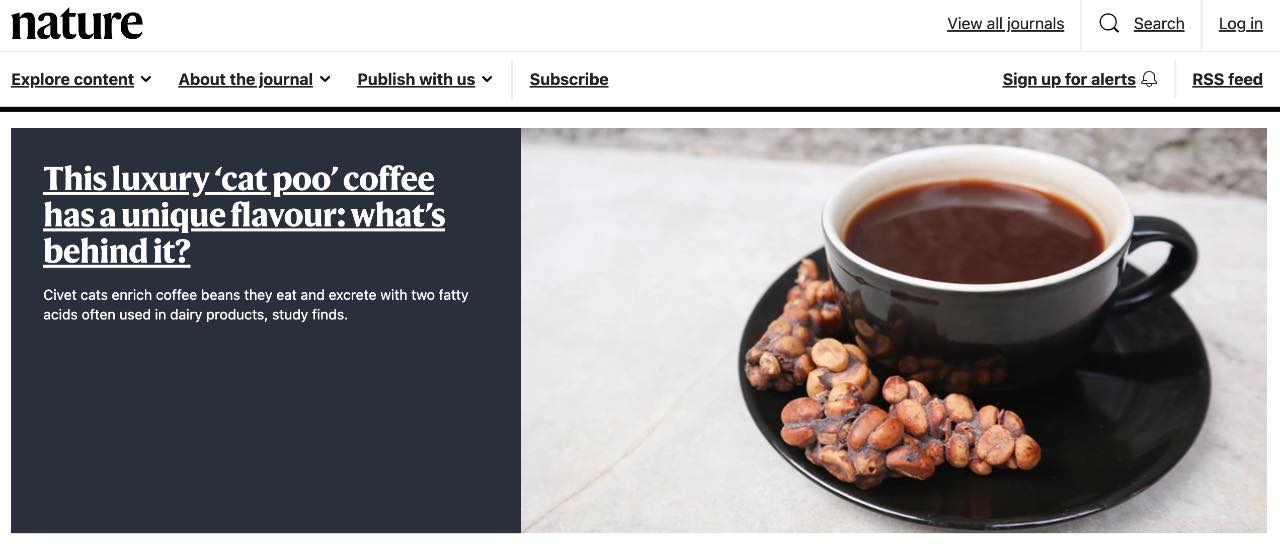 571121158_1263593522236194_451982998072468985_n