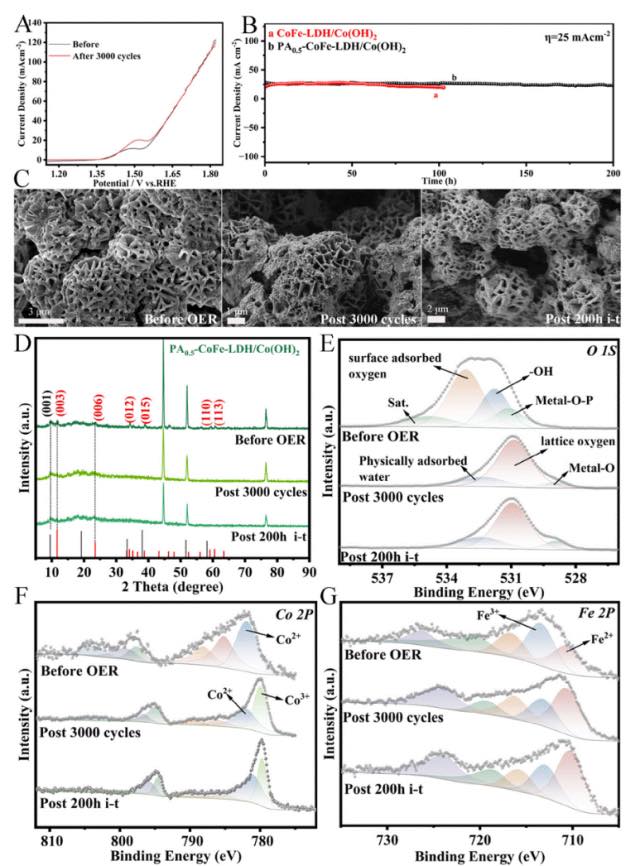 571217528_1263221432273403_3820139049370878098_n