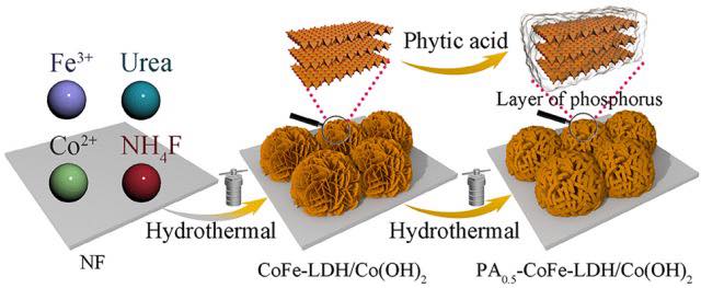571272317_1263221458940067_4043489247825753426_n