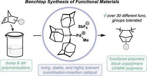 572086389_1266526611942885_3598013210152183660_n 572086389_1266526611942885_3598013210152183660_n