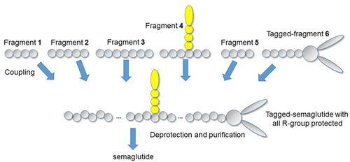 574965651_1266671331928413_8245773439413869196_n
