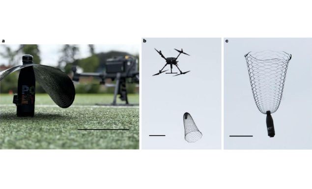 💡小時候的遊戲?不,這是一篇 Nature!