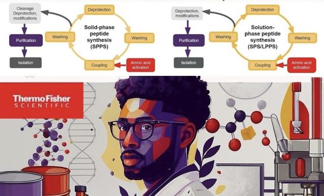 🔬 Peptide Synthesis｜標準與綠色合成的新選擇 🌱