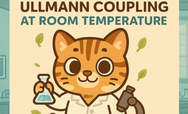 🔬 室溫條件下也能成功的 Ullmann 偶聯反應？！