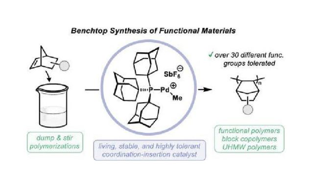 🌟【開啟配位插入聚合新時代】