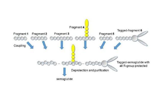 🌟 司美格魯肽登頂「藥王」！化學合成打破技術壁壘，就靠這些中間體！