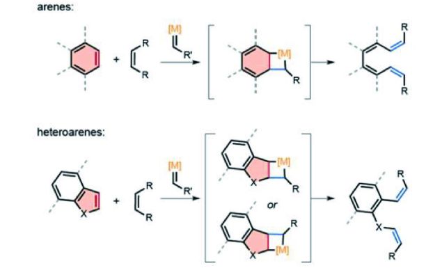 🔥 芳香環也能開！化學界超越「共振穩定」極限的新突破！ 🔥