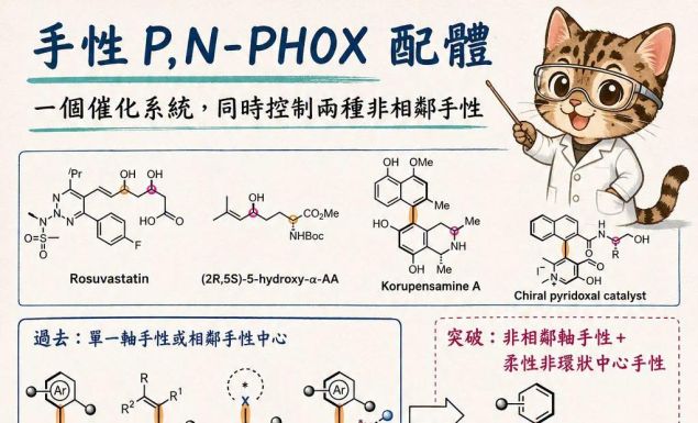一個催化劑,同時控制兩種相隔很遠的手性?|P,N-PHOX 配體如何精準構築軸手性與中心手性