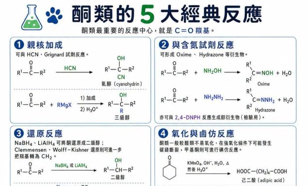 酮類的 5 大經典反應